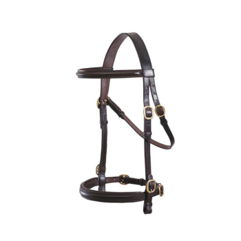 Horse Bridle