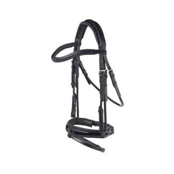 Horse Bridle