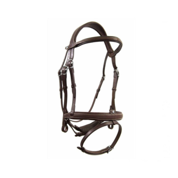 Horse Bridle